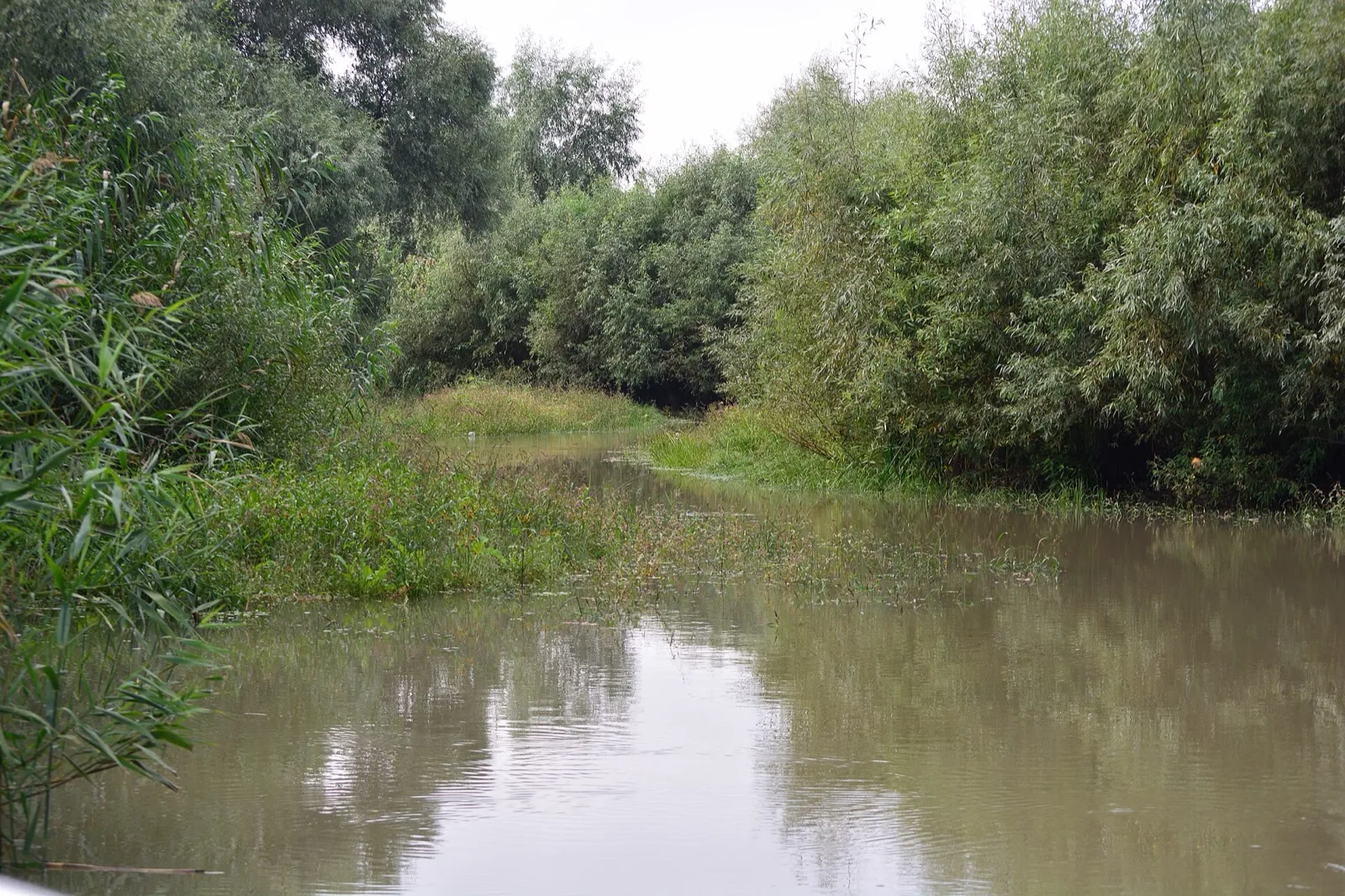 Delta Dunării